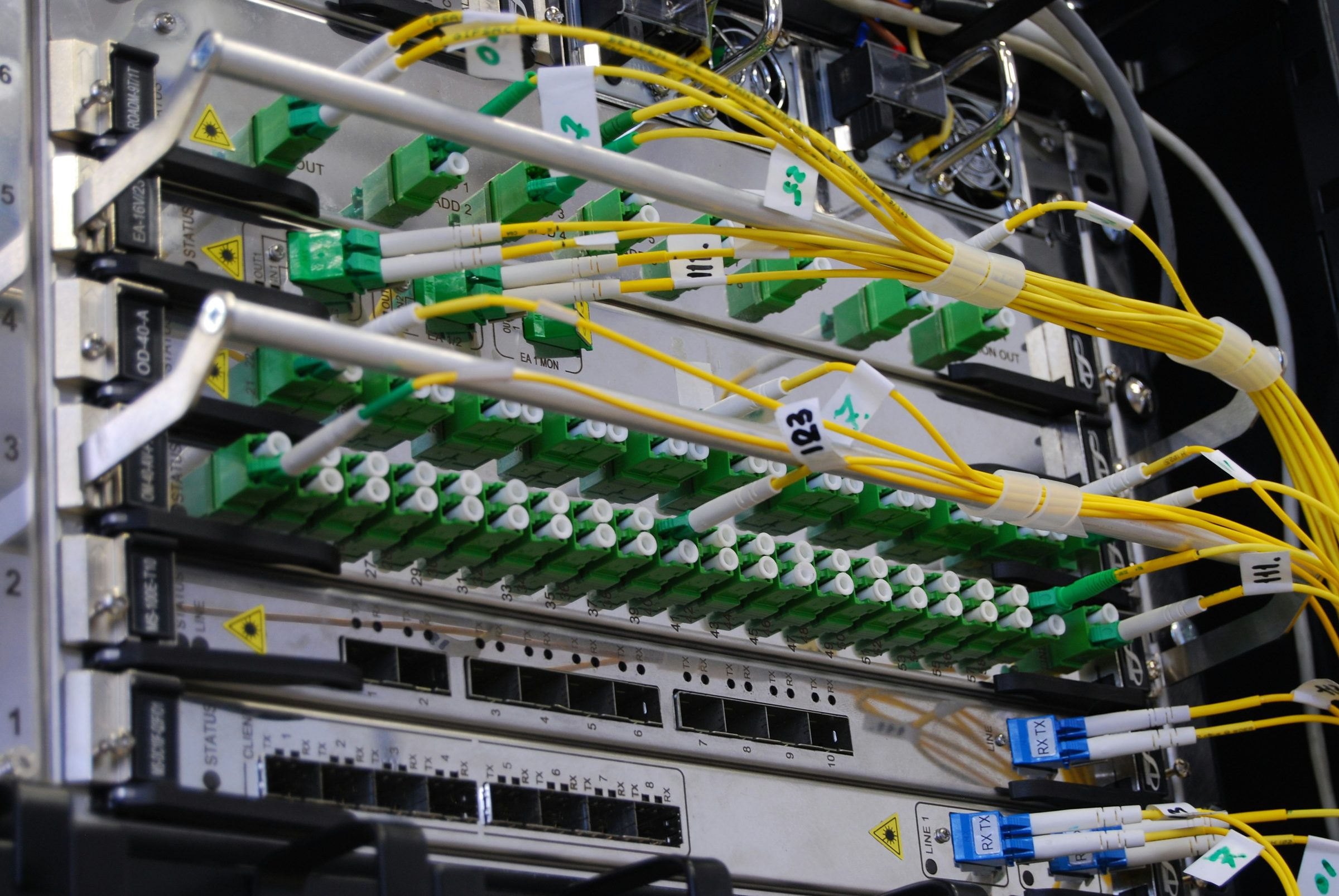 Fibre optic cables in a network switch. Photo: Kirill Sh / Unsplash